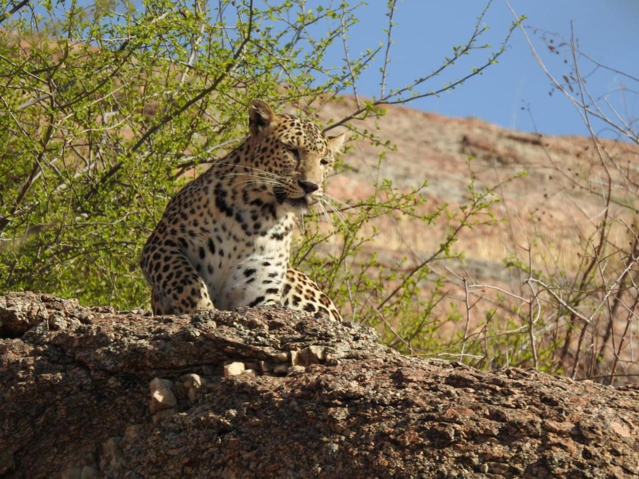Jawai Empire Resort By Premier Hotels Pāli Eksteriør billede